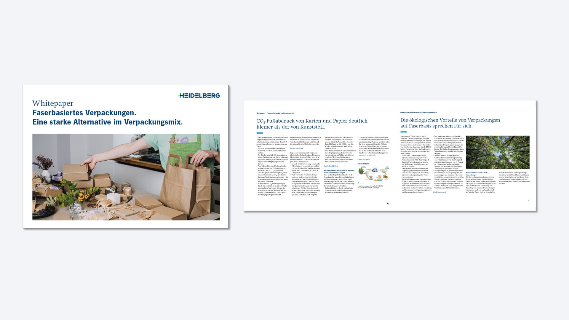 Whitepaper: Faserbasiertes Verpackungen. Eine starke Alternative im Verpackungsmix