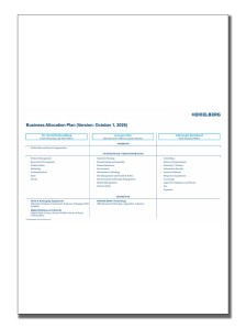 business_allocation_plan