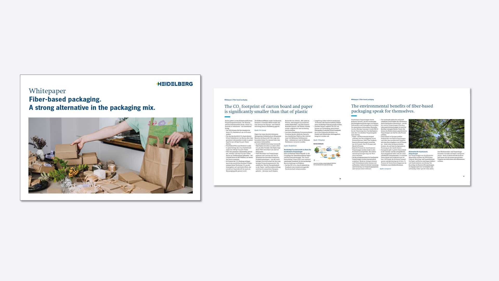 Whitepaper:  Fiber-based packaging.  A strong alternative in the packaging mix.