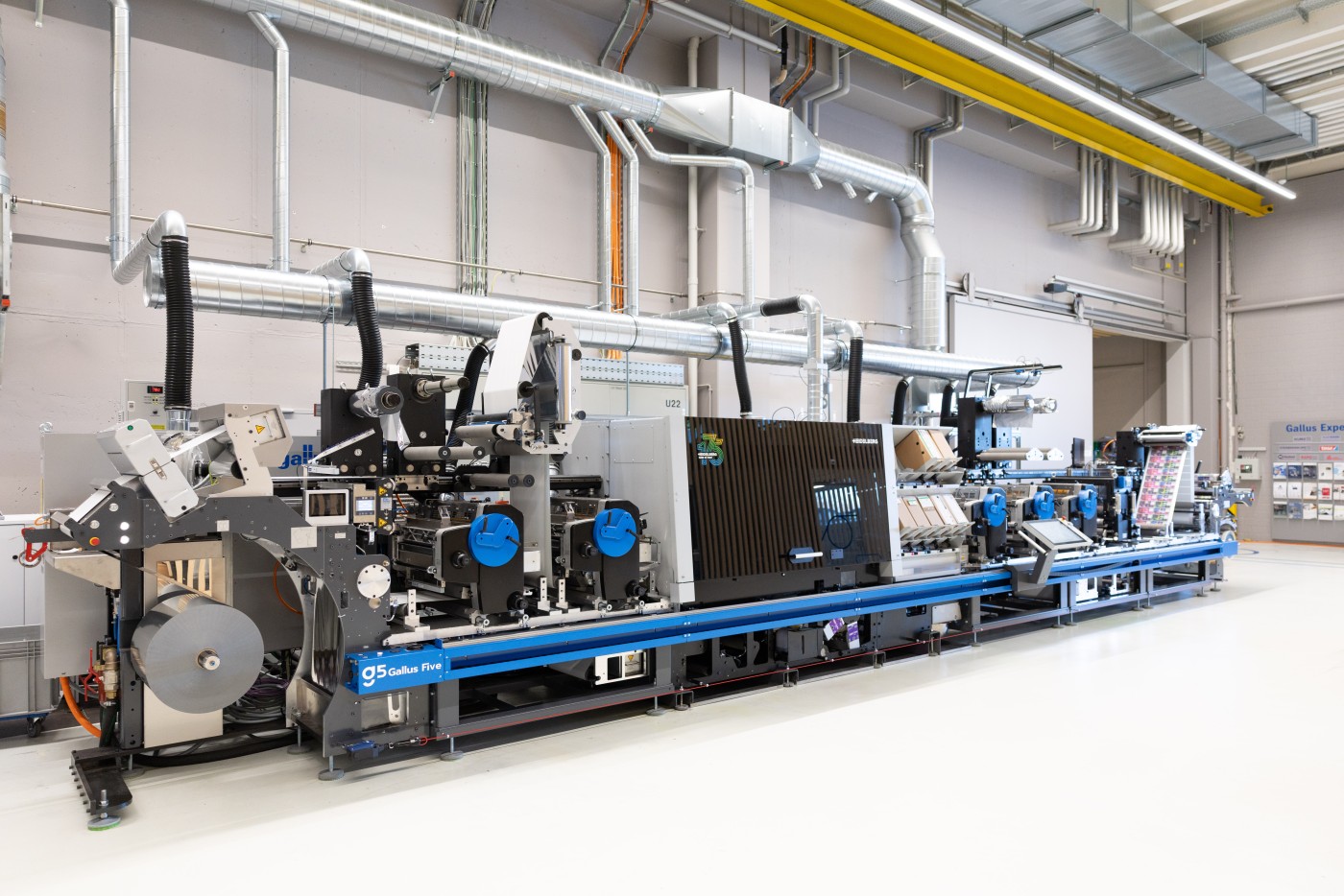 20260311_04_Gallus_Five