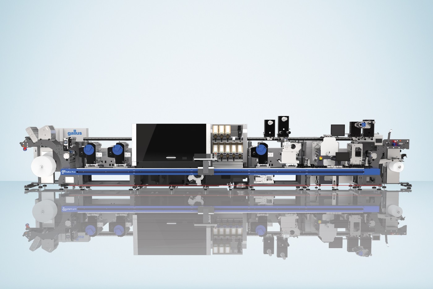 20250916_Gallus_Five_1