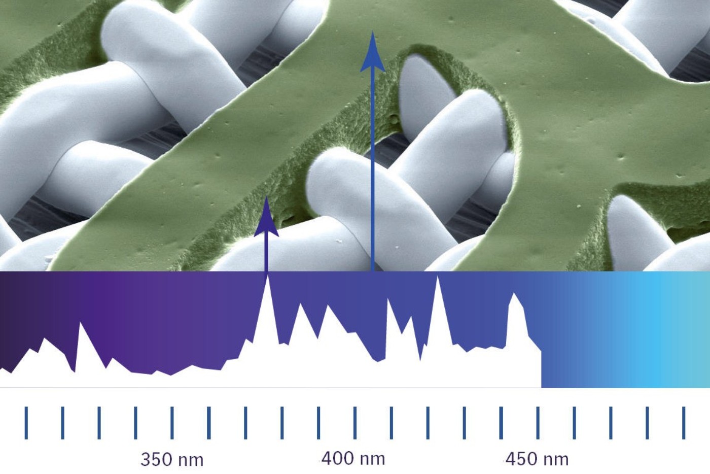 dual-imaging_with_heidelberg_phoenix