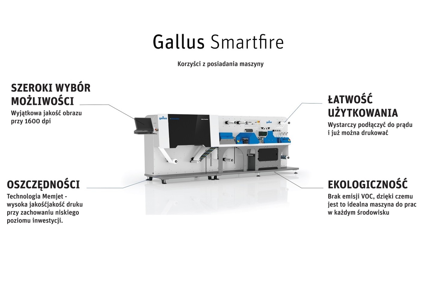 Gallus
